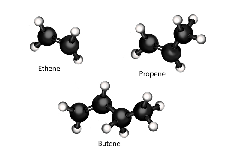 Alkenes rather than alkanes are carbon molecules where there atoms are double bonded these form during a process called cracking